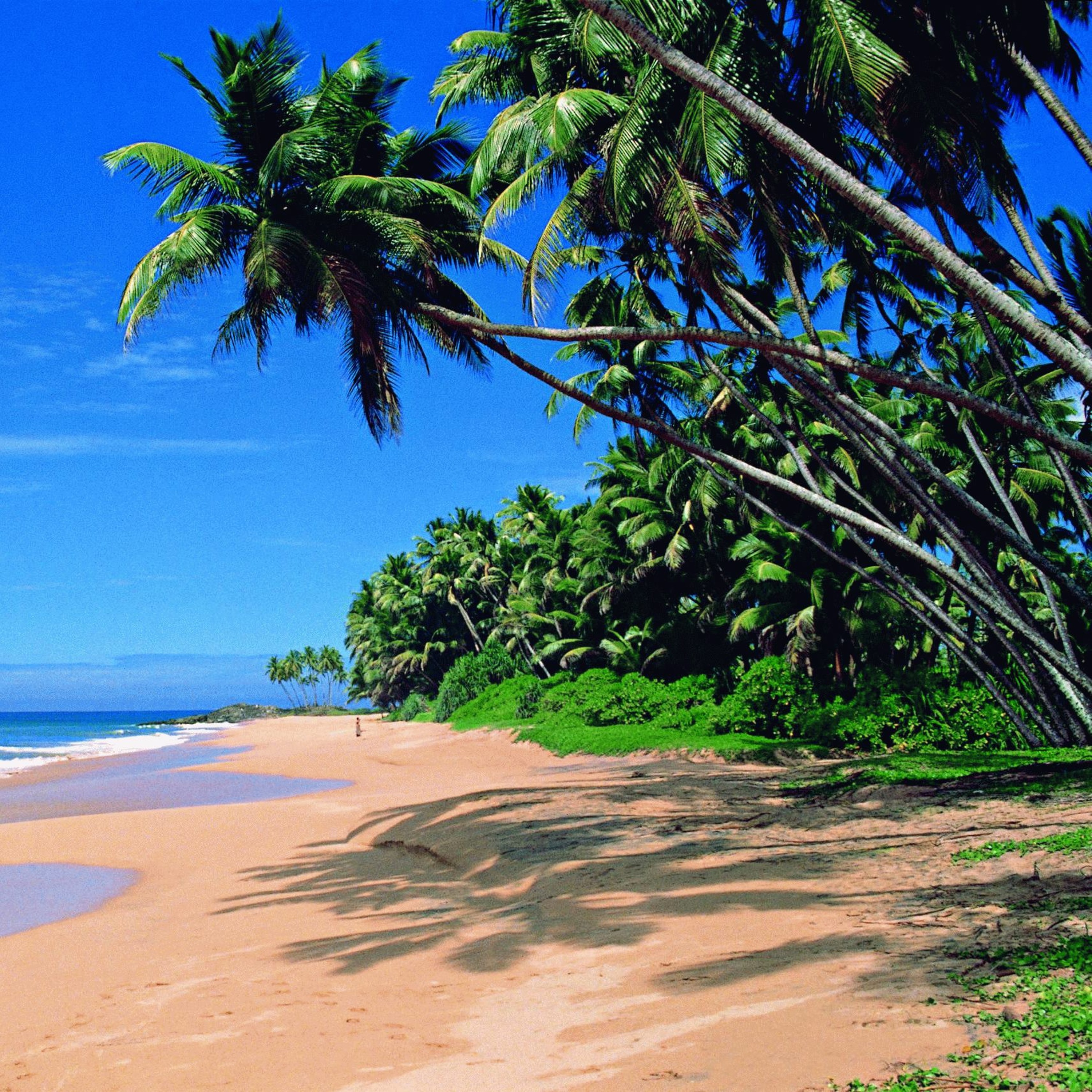 zomers kabbelende goa deun episode artwork