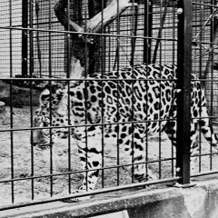 On Tourne en Rond (sa mère)