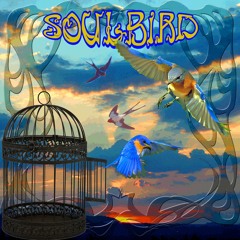 01 Soulwater