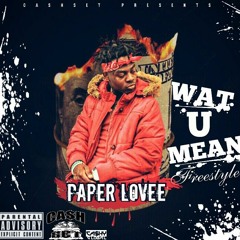 PaperLovee X Wat You Mean(FREESTYLE)