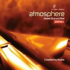 Rotary Connexion - Try to Believe (Out Now on Nookie's Atmosphere chapter 5 PHUZION DIGITAL)