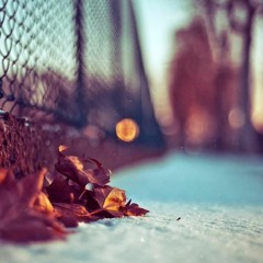 أنشودة | عيون المدينة