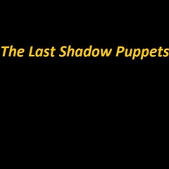 Miracle Aligner - The Last Shadow Puppets  (Acoustic Cover)
