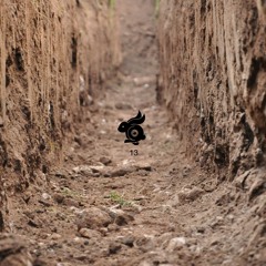 lwkylky - Escape The Forest