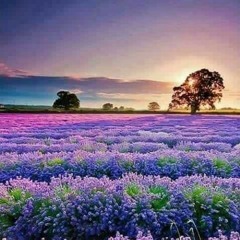 หนุ่มสุพรรณ - ศรเพชร ศรสุพรรณ.mp3