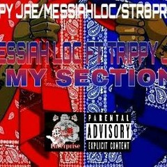 Messiah Loc ft TrippyJae -My Section