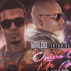 Waldo Ft. Kendo Kaponi - Quiero Que Me Ames (Official Remix)