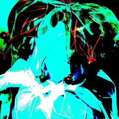 Funk Flex in the Tape Deck