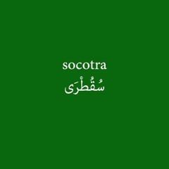 Socotra سُقُطْرَى - Soursop