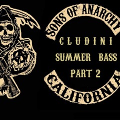 liquid mixes - cludini