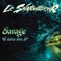 Savage -- Le SnafouilleuR