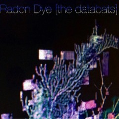Radon Dye - The Databats (Drone Day 2016 Improv)