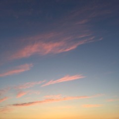 Ghosts in the park (Original)