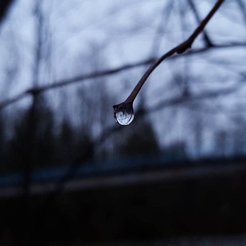 Disparity (original)