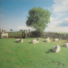 Madrugada Eterna- THE KLF
