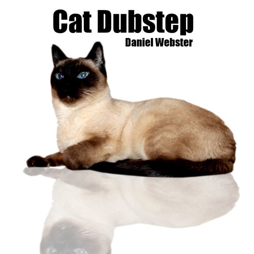 Stream Cat Dubstep Instrumental by Daniel er Listen online for