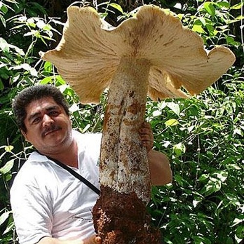 P C M 20140501 125944