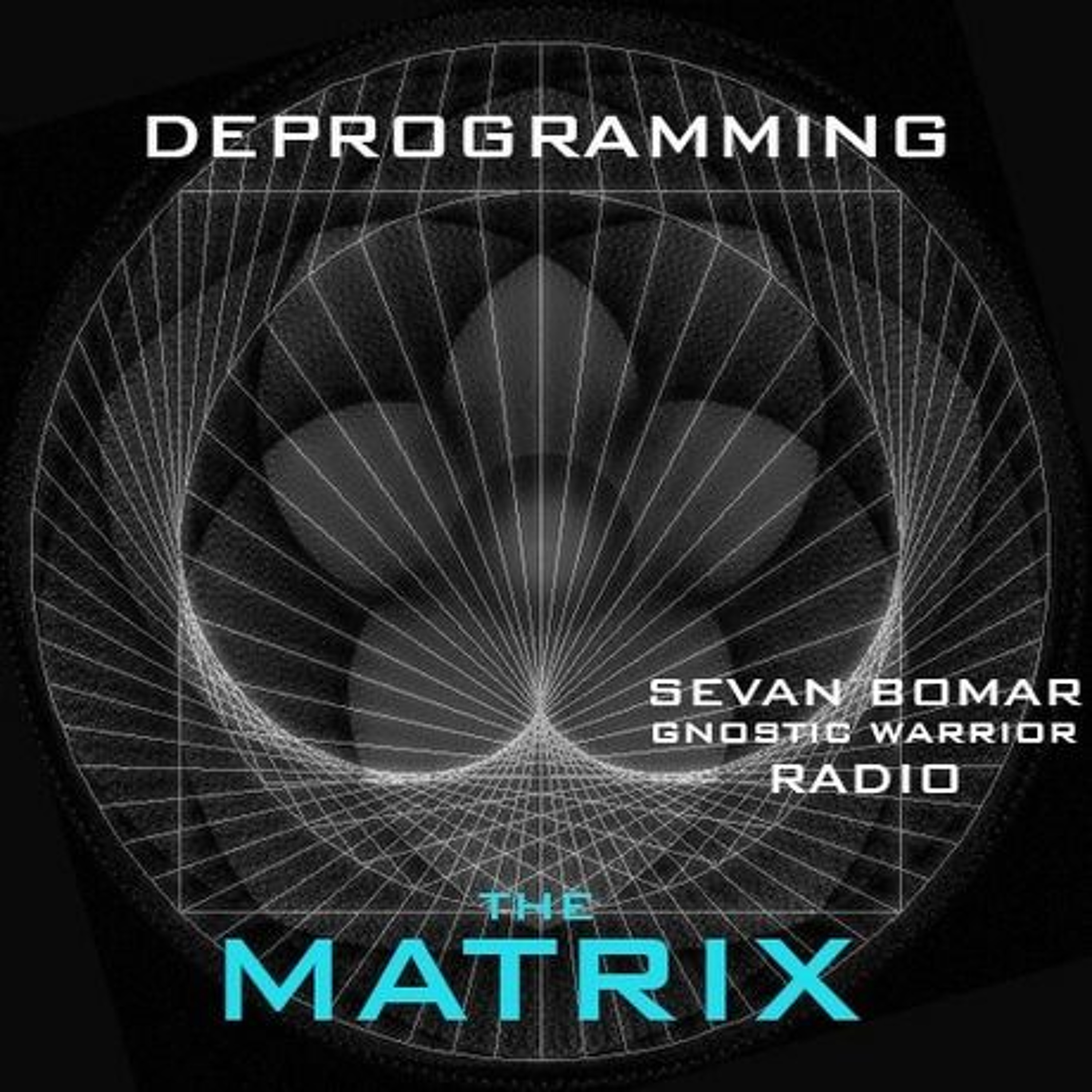 SEVAN BOMAR - DEPROGRAMMING THE MATRIX - GNOSTIC WARRIOR RADIO - AUG 25 2014 episode artwork