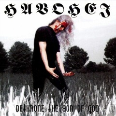 HAVOHEJ - Final Hour of Christ