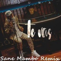 Ozuna - Te Vas (Sane Mambo Remix)