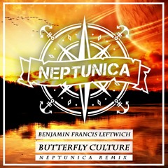 Benjamin Francis Leftwich - Butterfly Culture (Neptunica Edit)