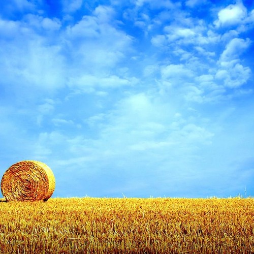 Eric Chiryoku - Wishes