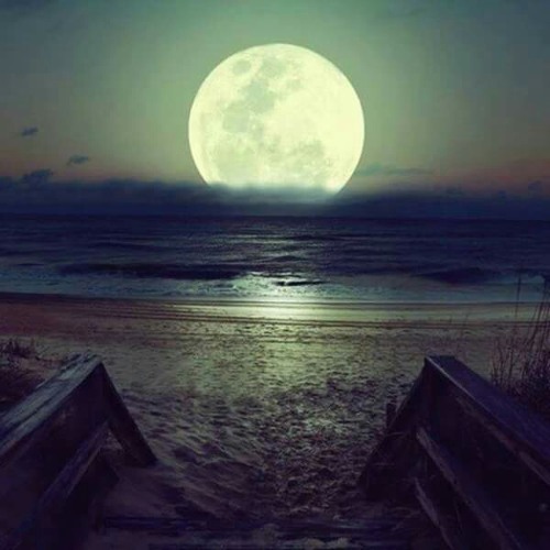 لما اموت "امنية عرفة"