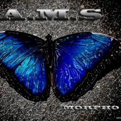 A.M.S. Morhpo EP  154 BPM +++FAM Fractal Audio Machinery Records+++