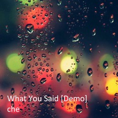What You Said [Demo]