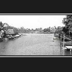 โหมโรงกระแตไต่ไม้