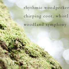 A Separate Place [Naviarhaiku125 - rhythmic woodpecker]