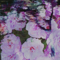 JACKO THE BANDIT - LONELY (PROD.SHADOW)