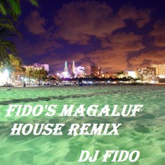 FIDO'S MAGALUF HOUSE REMIX