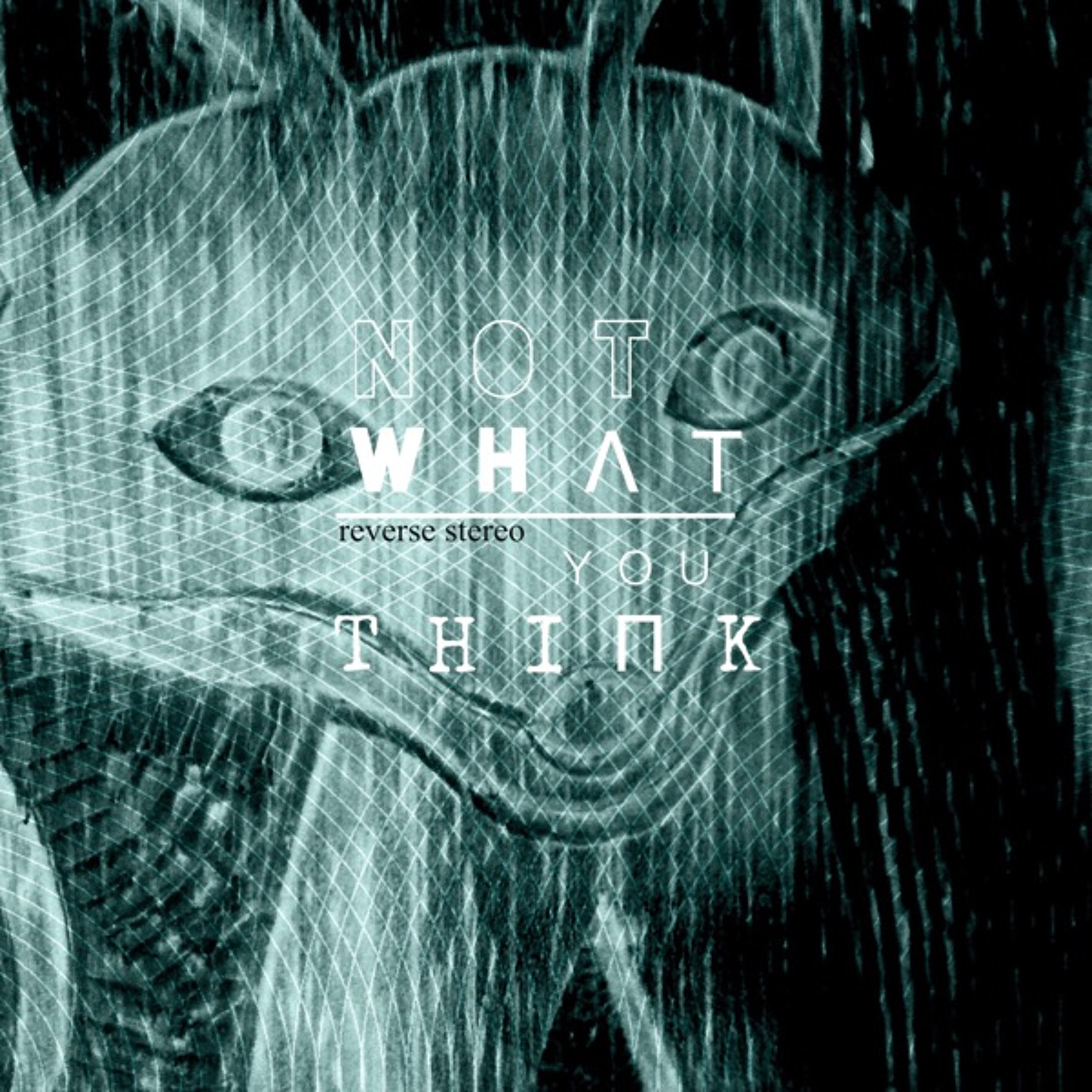 Not what you think (Original mix) episode artwork