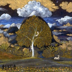 YEM - Turkinda