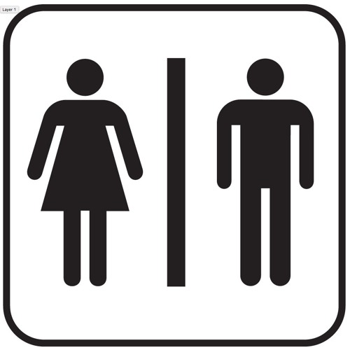 Can a teenage boy have conversation with a girl?