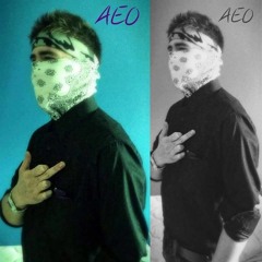 AEO X LEVITATE X NICOLE MCSEVENEY - ASHES