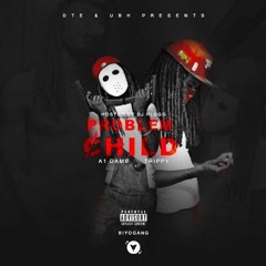 DTE A1 Dame & Trippy - Designer Trapping & Extensions