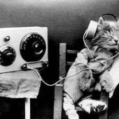 n'Gramafon-05.03.2016