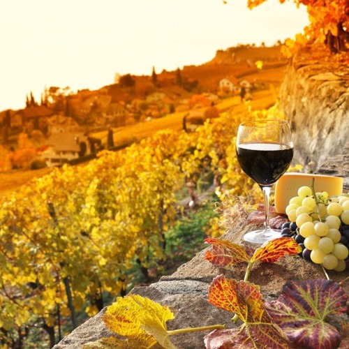 Episode 14: Lithium 101 and the effects of national wine day