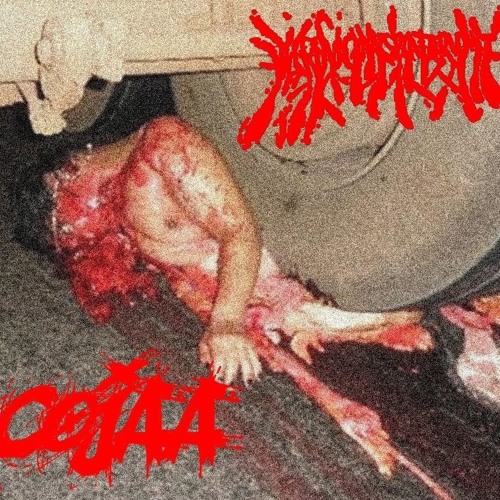 Necrovaginalsplattervomit - Libido