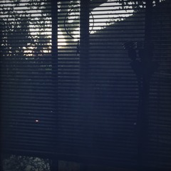 waking up. atls. x comba_