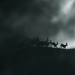 Stag (Clip) [Out now on Smallprint]