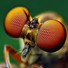 BUGG'N Freestyle (feat. Stowaway)