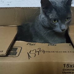 Ain't no sunshine - Cover?