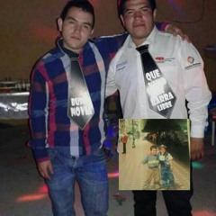 Volver a ser santa grifa