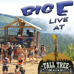 Live @ Tall Tree Music Festival 2015