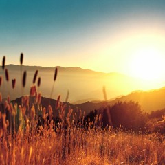 I Will Not Forget You—Isaiah 49:15