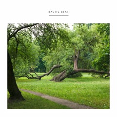 BARTOSZ KRUCZYŃSKI - BALTIC BEAT (Growing Bin) LP