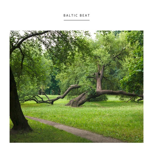 Stream BARTOSZ KRUCZYŃSKI - BALTIC BEAT (Growing Bin) LP by Earth Trax |  Listen online for free on SoundCloud